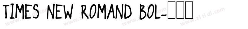 TIMES NEW ROMAND BOL字体转换